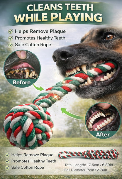 HOPET Dog Outdoor Bungee Hanging Toy, Tether Tug of War Toys for Medium to Large Dog to Exercise, Durable Interactive Tug Toy, Dog Rope Toys3