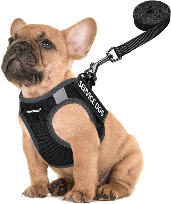 FAYOGOO Service Dog Vest for Small Dogs - Lightweight Dog Harness with 6PCS Removable Patches - Puppy Harness and Leash Set for Walking,Training12