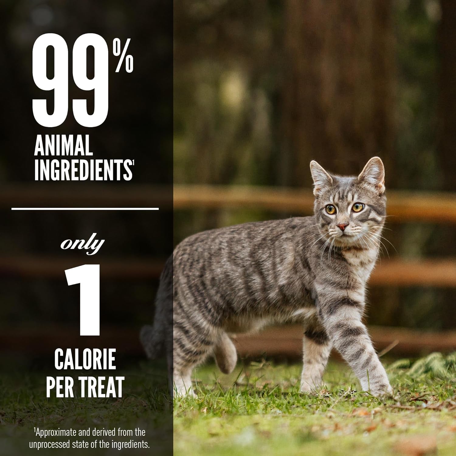 orijen-freeze-dried-cat-treats-grain-free-wholeprey-1-25oz-bag-99-animal-ingredients-freeze-dried-grain-free-high-protein-wild-caught-fish-1-calorie-each-ideal-for-training