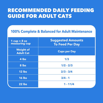 IAMS Healthy Enjoyment Dry Cat Food, Chicken & Salmon Recipe, 3 Lb | Vet-Recommended, Real Chicken #1 Ingredient, Natural Fiber & Prebiotics, Supports Immune & Digestive Health, Muscle Care10