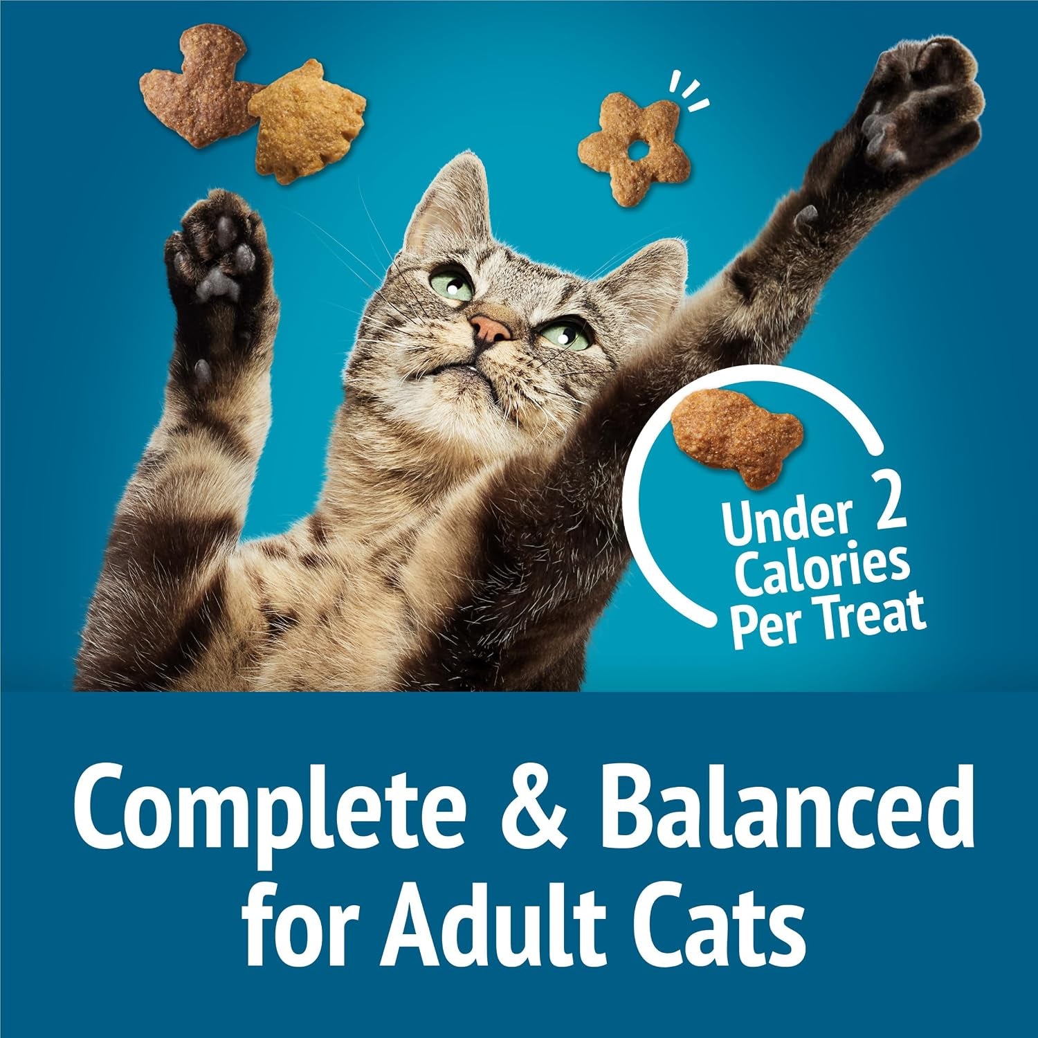 purina-friskies-cat-treats-party-mix-seafood-lovers-crunch-pack-of-6-6-oz-pouches
