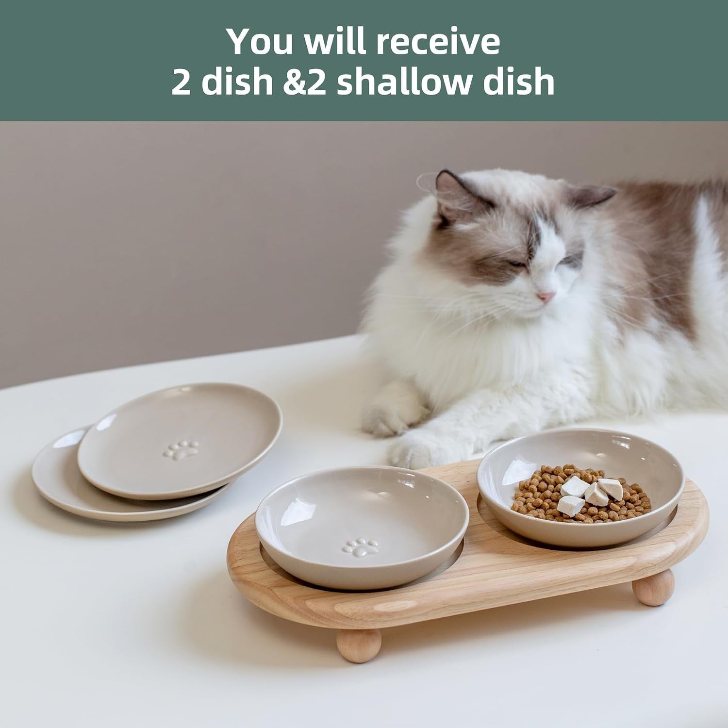 havniva-elevated-cat-bowls-cat-food-and-water-bowl-set-ceramic-cat-bowl-raised-cat-food-bowls-whisker-friendly-5-6-shallow-cat-dishes-6-wide-cat-plates-non-slip-wood-stand-two-heights