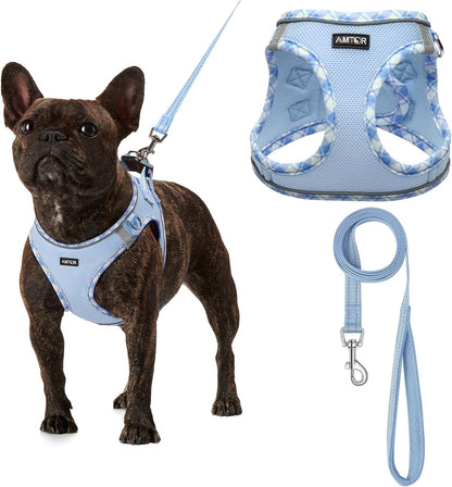 AMTOR Small Dog Harness with Leash Set, No Escape Easy Walk Puppy Harnesses for Training Walking, Step-In Reflective Soft Dogs Vest for XS S Medium Extra-Small Large Sized Dog(Green,S)13