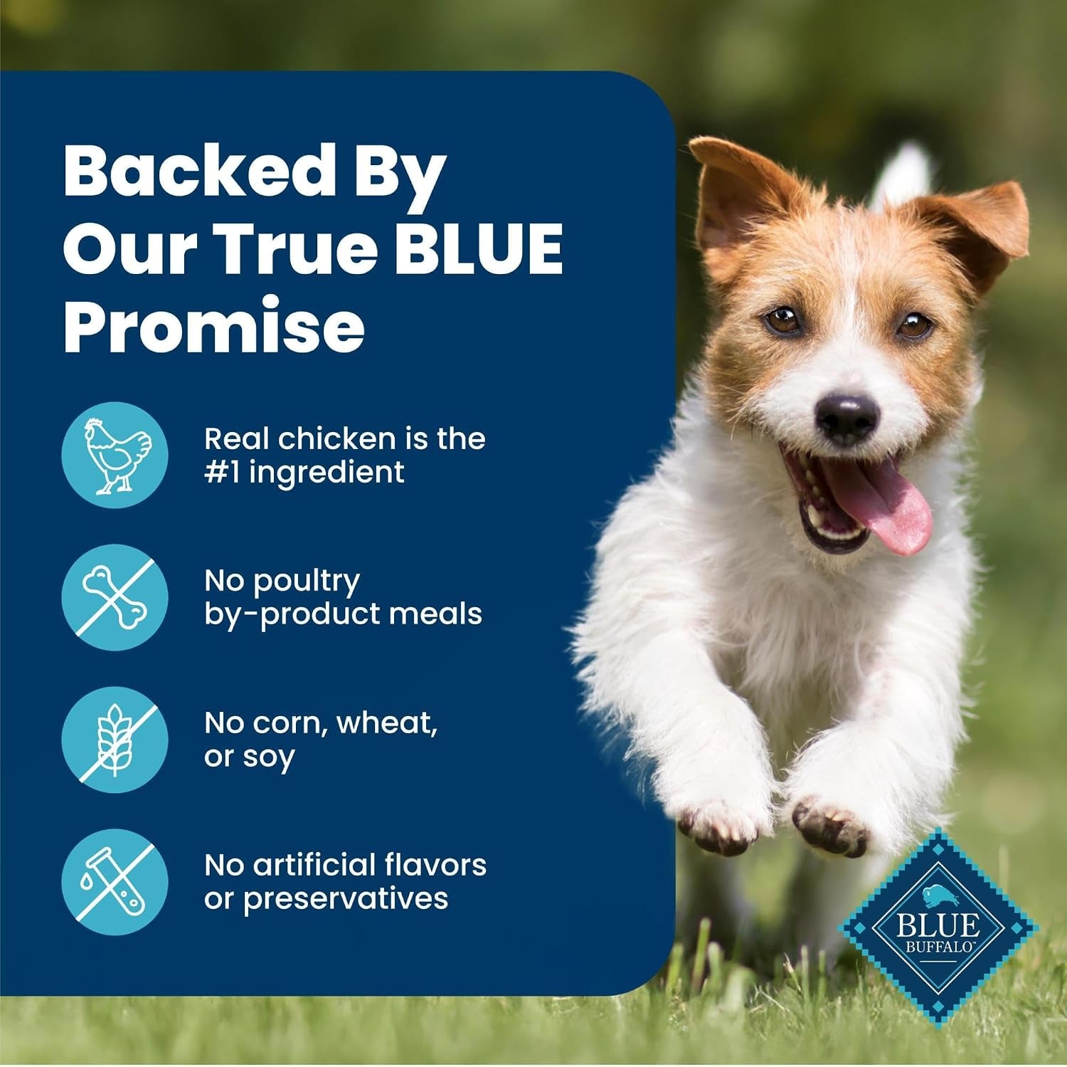 blue-buffalo-family-favorite-recipes-sunday-chicken-dinner-in-gravy-natural-wet-dog-food-for-adult-dogs-grain-free-recipe-with-natural-ingredients-vitamins-minerals-12-5-oz-can-12-count