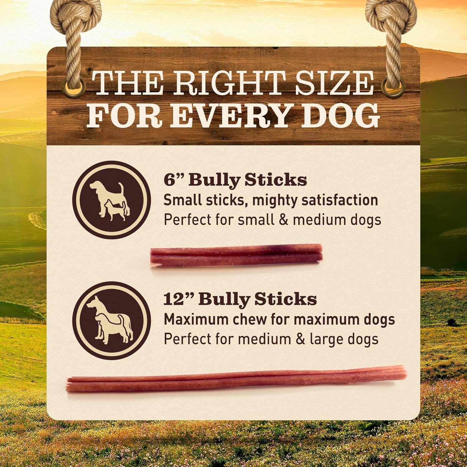 pet-odor-free-standard-bully-sticks-12-5-pack-100-grass-fed-beef-pizzle-dog-chews-fully-digestible-long-lasting-dental-treats