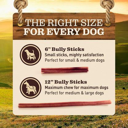 Pet Odor-Free Standard Bully Sticks (12", 5 Pack) – 100% Grass-Fed Beef Pizzle Dog Chews, Fully Digestible & Long-Lasting Dental Treats6