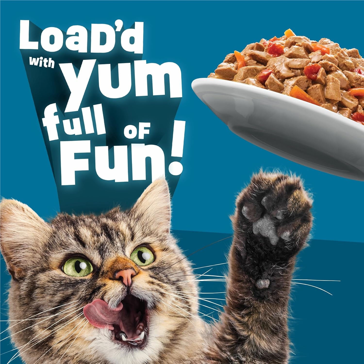 purina-friskies-fully-load-d-wet-cat-food-variety-pack-with-chicken-salmon-or-tuna-in-wet-cat-food-gravy-5-5-ounce-pack-of-12