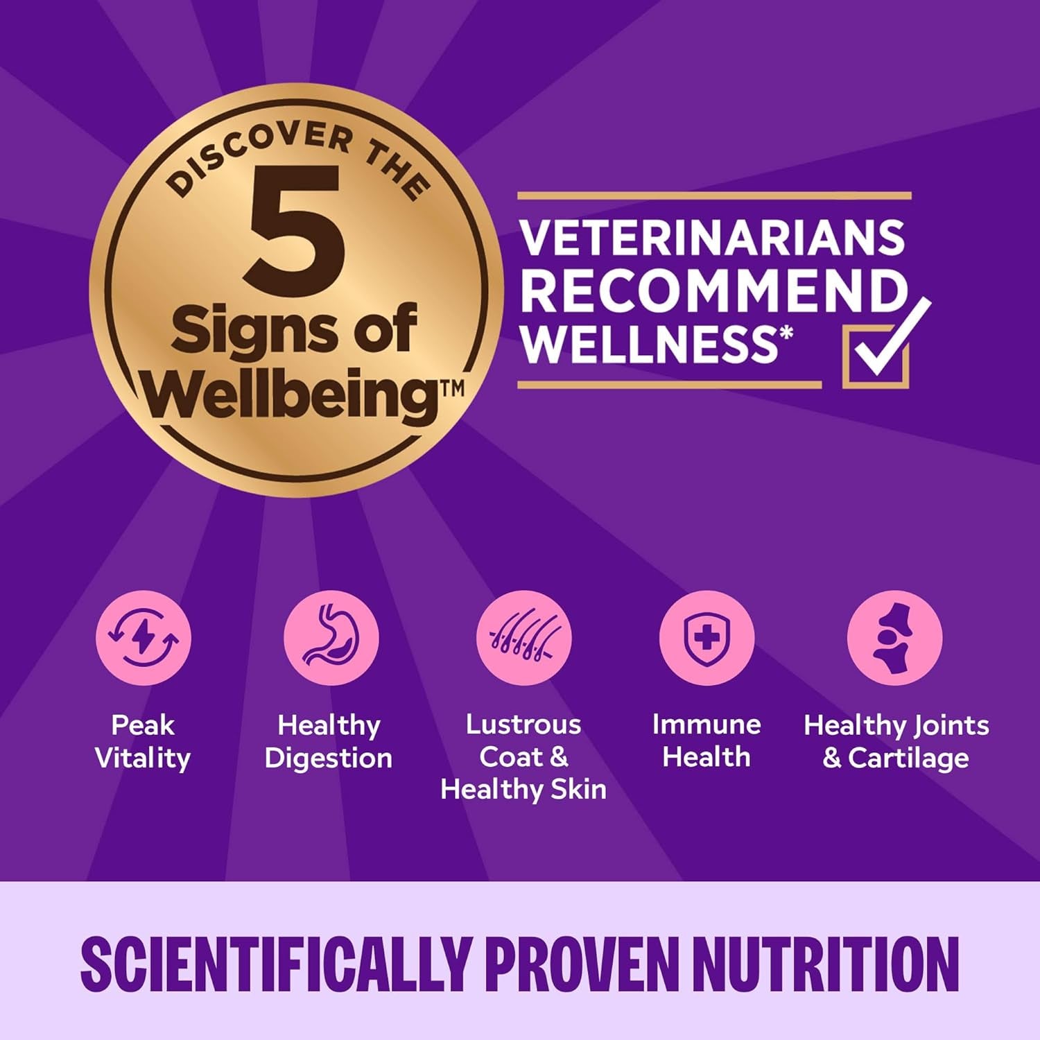 wellness-complete-health-pate-adult-canned-wet-cat-food-natural-protein-rich-grain-free-chicken-entree-recipe-3-oz-pack-of-24-cans