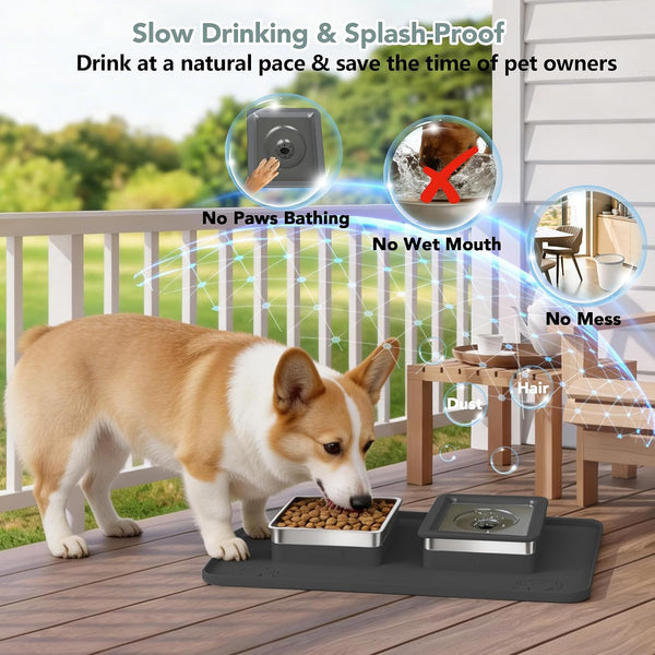 Dog Bowl Set, No Spill Dog Water and Food Bowl with Silicone Mat | Large Capacity 304 Stainless Steel Bowls, 2-In-1 Set, Slows Drinking, Anti-Slip Silicone Feeding Mat, Home/Travel, 6-7 Cups4