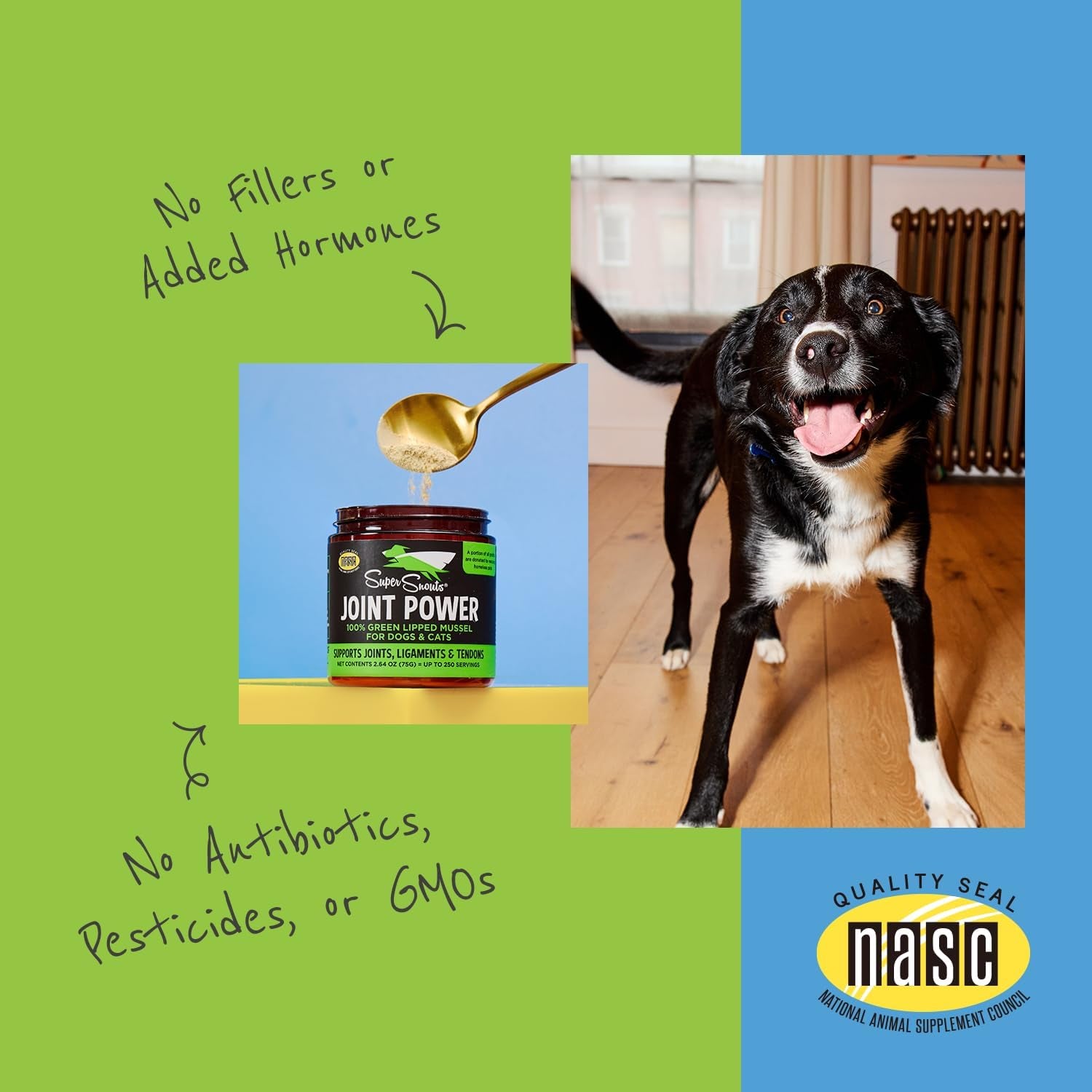 joint-power-supplement-powder-for-dogs-cats-2-64-oz-jar-joint-supplement-powder-made-with-100-green-lipped-mussels-to-support-joints-tendons-and-ligaments