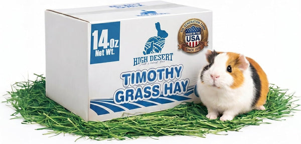High Desert 2Nd Cutting Timothy Hay for Rabbits, Guinea Pigs, 4 Lb | Soft Leafy Texture with Balanced Fiber, Supports Healthy Digestion, Great for Chinchillas, Hand Packed in the USA, Low Dust10