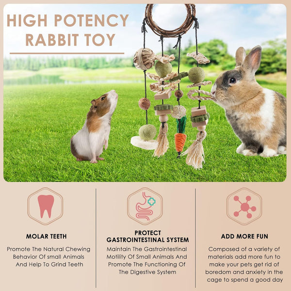 Bissap Bunny Chew Toy, Rabbits Cage Hanging Chew Toys and Treats Grapevine Wreaths Rattan Ring with Snacks for Guinea Pigs Chinchillas Hamsters Rats and Other Small Pets Teeth Grinding4