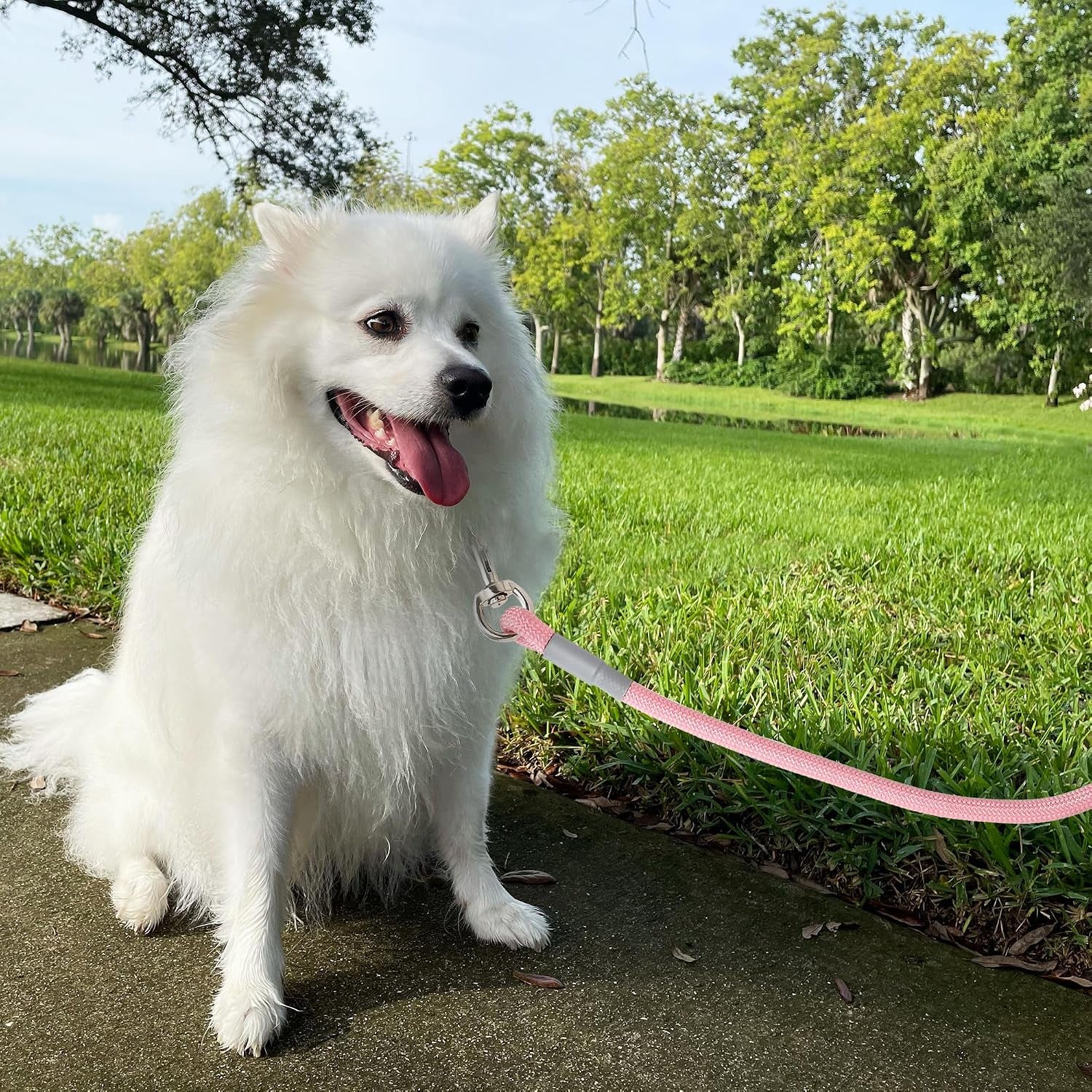 mile-high-life-dog-leash-6ft-x-1-2in-pink-with-padded-handle-heavy-duty-nylon-rope-leash-with-soft-handle-steel-tips-comfortable-grip-for-daily-walks-with-small-to-large-dogs