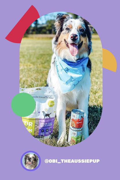 I and Love and You Wet Dog Food - Baad Mooon on the Rise Variety Pack - Beef + Lamb, Grain Free, Filler Free 13Oz Can, 6Pk8