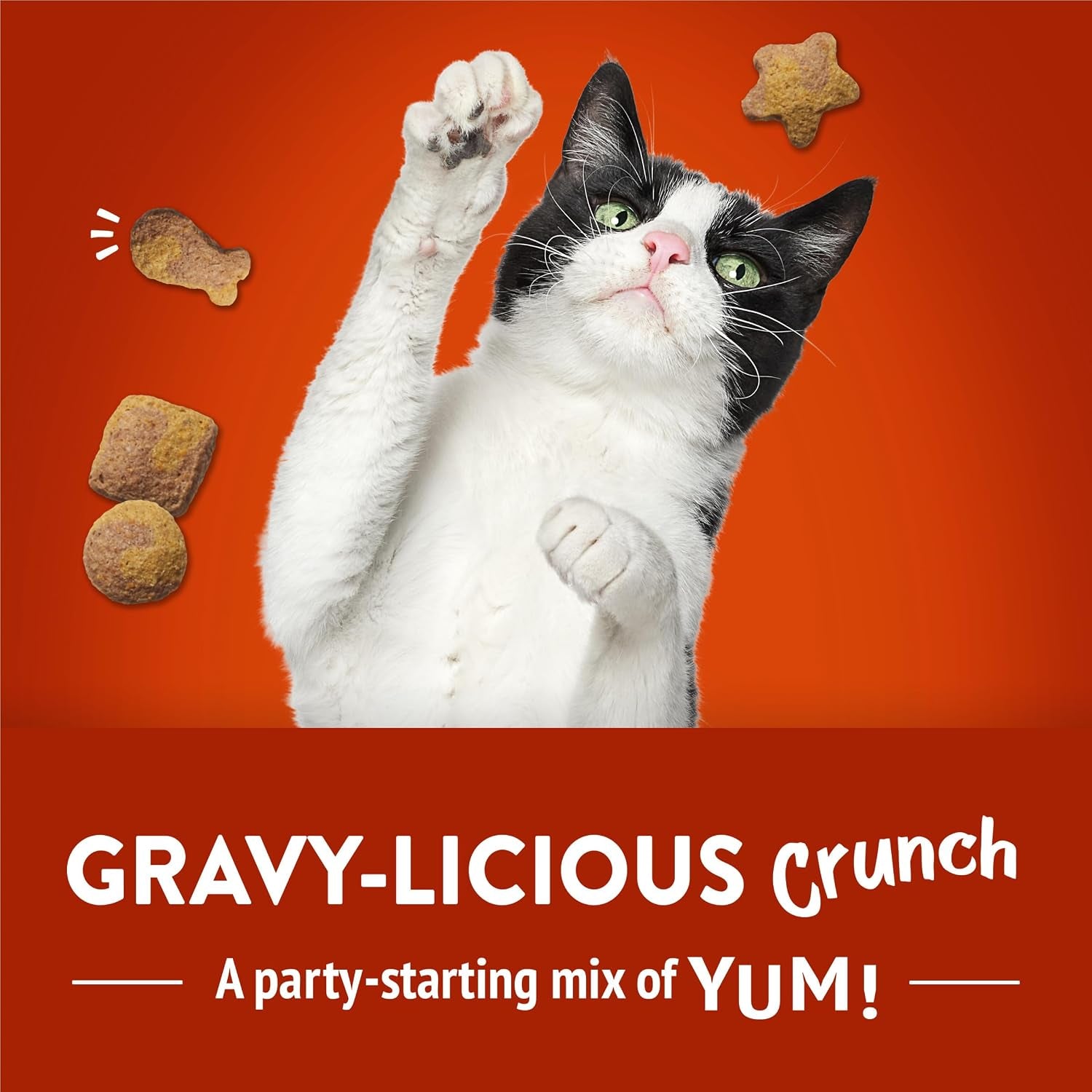 purina-friskies-party-mix-gravy-licious-crunch-chicken-and-gravy-flavors-cat-treats-30-oz-canister