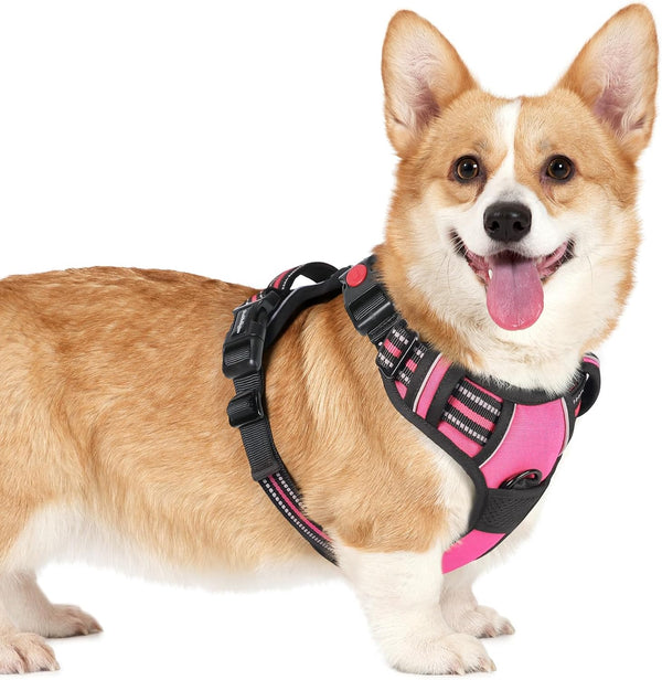 Rabbitgoo Dog Harness Medium Sized, Updated Easy on & off with 3 Buckles | No Pull No Choke, Walking with 2 Clips and Handle, Adjustable Soft Reflective, Blue, Medium31