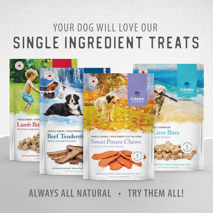 Caledon Farms Value Pack Sweet Potato Chews Dog Treats 28Oz/795G11