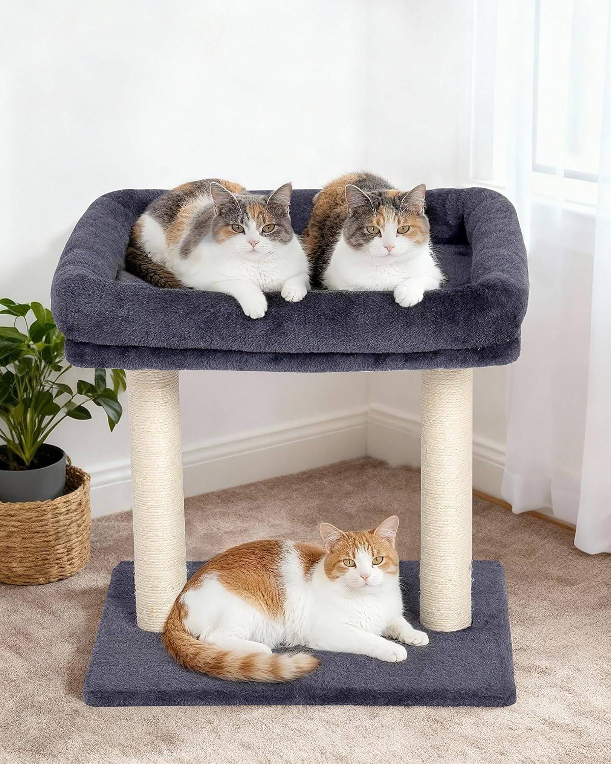 19-small-cat-tree-with-scratching-post-for-indoor-cats-with-perch-dark-gray-removable-19-15-8-perch-bed-dual-natural-sisal-scratcher-small-cat-tower-space-saving