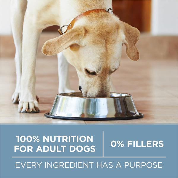Purina ONE plus Joint Health Formula Natural with Added Vitamins, Minerals and Nutrients Dry Dog Food - 31.1 Lb. Bag8