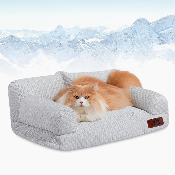 Hollypet Small Dog Large Cat Bed Puppy Couch Beds for Pets up to 25 Lbs | Fluffy Dog Cat Couch Plush Soft Warming Pets Beds with Machine Washable Cover and Non-Slip Bottom25
