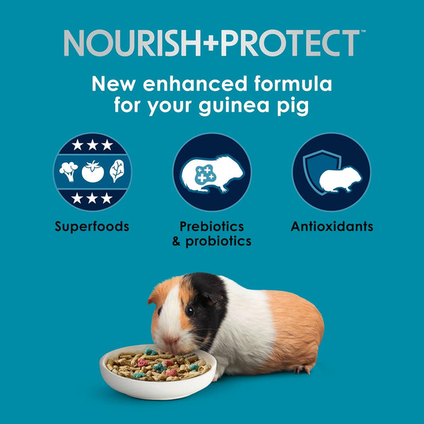 Kaytee Forti-Diet Pro Health Nourish+Protect Guinea Pig Food, Comprehensive Nutrition Backed by Science, Digestive Health, Immune Support, 5 Pounds3