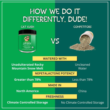 Organic Catnip, Safe Premium Blend Perfect for Cats, Instilled with Maximized Potency Your Kitty Is Sure to Go Crazy for (1 Cup) | Instilled with Maximized Potency Your Kitty Is Guaranteed to Go Crazy For! (1 Cup)4