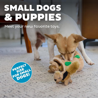 Outward Hound Squeakin’ Squirrels – 3‑Pack Plush Squeaky Dog Toys for Puppies, Small Dogs & Hide-A-Squirrel Replacements4