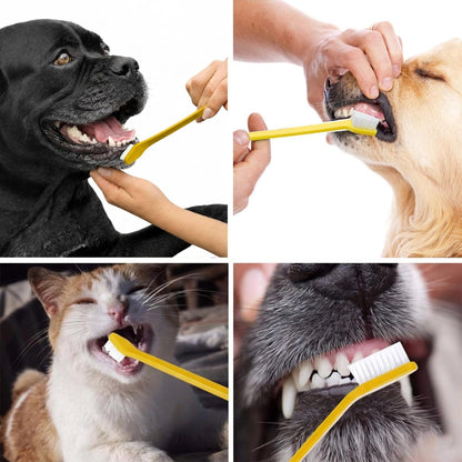 Pet Republique Dog Toothbrush Set of 6 – Dual Headed Dental Hygiene Brushes for Small to Large Dogs, Cats, and Most Pets5