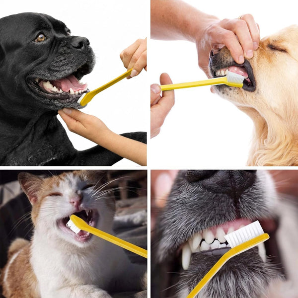 Pet Republique Dog Toothbrush Set of 6 – Dual Headed Dental Hygiene Brushes for Small to Large Dogs, Cats, and Most Pets5