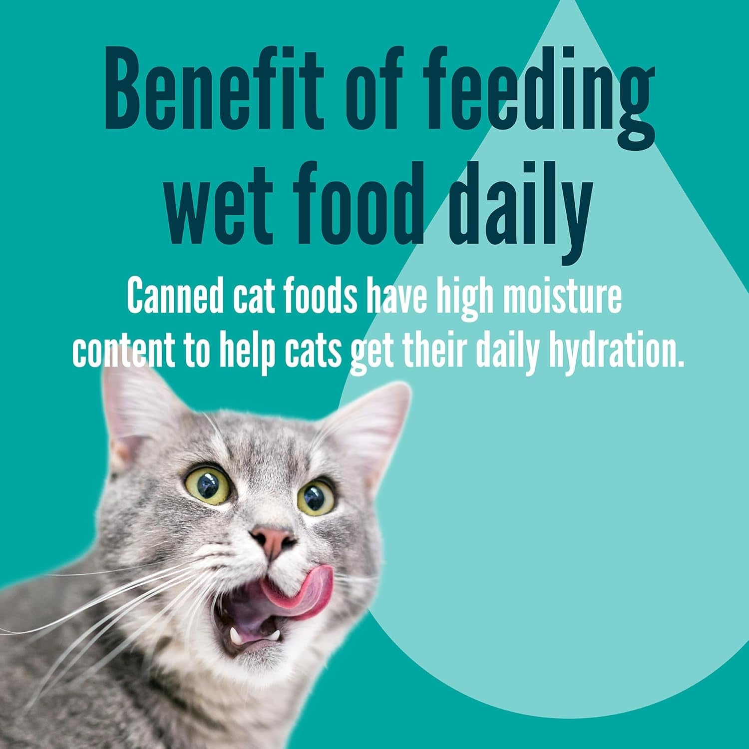 a-strong-heart-split-cup-wet-cat-food-chicken-entree-2-6-oz-split-cups-20-servings-pack-of-10-made-in-the-usa-with-real-chicken