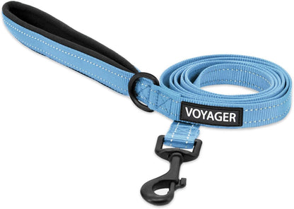 Best Pet Supplies Voyager Nylon Dog Leash - Fuchsia, Small | 5Ft in Length, 5/8" in Width, Reflective, Soft Neoprene Handle, Heavy Duty Metal Clips for Running, Walking & Training15