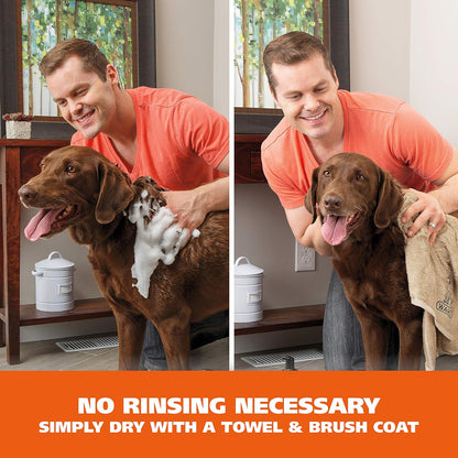 Wahl Waterless No Rinse Shampoo for Animals, Coconut Lime Verbena, 7.1 Oz | Quick Clean-Ups for Dogs—No Bath Needed, Oatmeal Formula Cleans, Conditions, Detangles & Moisturizes Dogs Fur – Model 820015A3