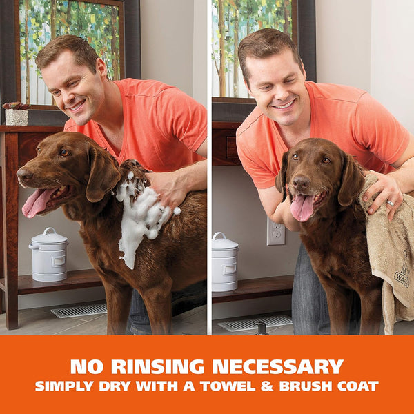 Wahl Waterless No Rinse Shampoo for Animals, Coconut Lime Verbena, 7.1 Oz | Quick Clean-Ups for Dogs—No Bath Needed, Oatmeal Formula Cleans, Conditions, Detangles & Moisturizes Dogs Fur – Model 820015A3