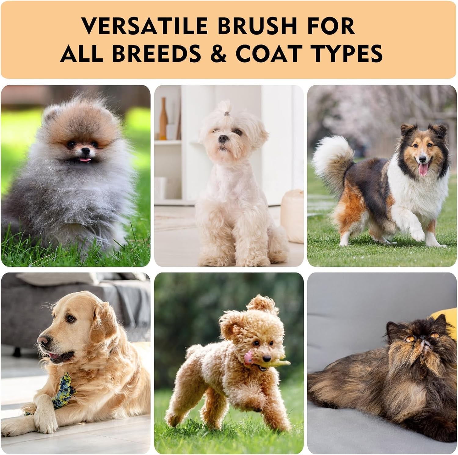 slicker-brush-for-dogs-cats-dog-cat-brush-for-shedding-grooming-deshedding-tool-loose-fur-removal-undercoat-removal-gentle-coated-tips-air-cushion-pad-long-short-hair-pet-detangling