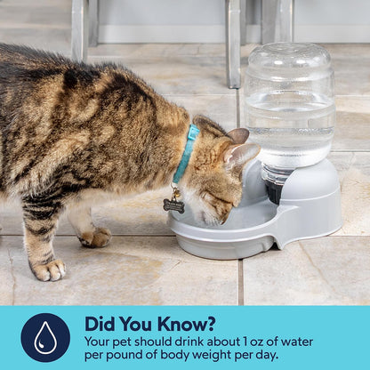 Aspen Pet Lebistro Cat and Dog Water Dispenser, Made in USA6