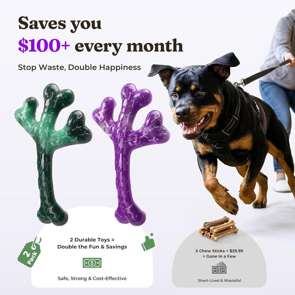 Frienhund 2-Pack Indestructible Dog Chew Toys for Aggressive Chewers | Textured Cactus with Grooves for Peanut Butter & Yogurt, Beef Nylon Bones for Large Dogs 20-90 Lbs, Easy Chew & Long Lasting6