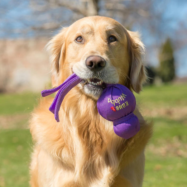 KONG Wubba Tug of War and Fetch Dog Toy, for XL Dogs | Indoor & Outdoor Toy for Puppy & Dog Playtime, Great for Tug of War & Fetch, Color Randomly Provided2