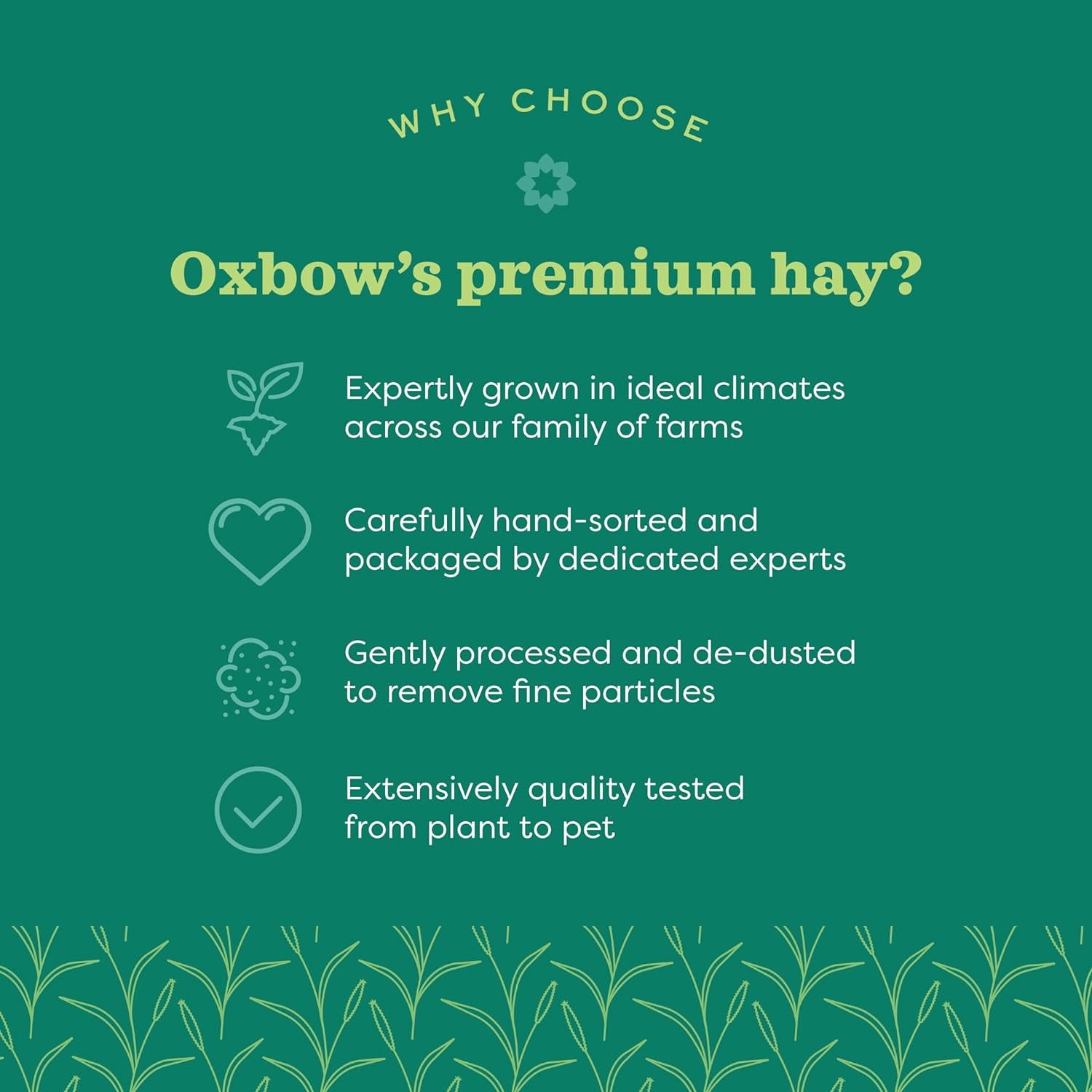 oxbow-western-timothy-hay-guinea-pig-hay-small-pet-bunny-supplies-all-natural-grass-for-guinea-pig-bunny-chinchilla-hamster-oxbow-rabbit-supplies-for-bunnies-9-lb-box-oxbow-timothy-hay-bunny-hay-for-rabbits-guinea-pigs-bunnies-and-chinchillas-hand-sorted-de-dusted-made-in-usa