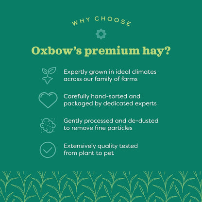 Oxbow Western Timothy Hay, Guinea Pig Hay, Small Pet Bunny Supplies, All Natural Grass for Guinea Pig, Bunny, Chinchilla & Hamster, Oxbow Rabbit Supplies for Bunnies, 9 Lb Box | Oxbow Timothy Hay, Bunny Hay for Rabbits, Guinea Pigs, Bunnies and Chinchillas, Hand-Sorted, De-Dusted, Made in USA14