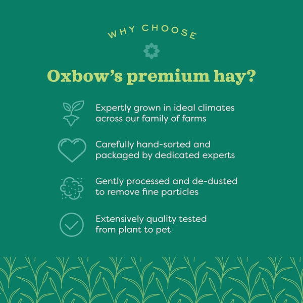 Oxbow Western Timothy Hay, Guinea Pig Hay, Small Pet Bunny Supplies, All Natural Grass for Guinea Pig, Bunny, Chinchilla & Hamster, Oxbow Rabbit Supplies for Bunnies, 9 Lb Box | Oxbow Timothy Hay, Bunny Hay for Rabbits, Guinea Pigs, Bunnies and Chinchillas, Hand-Sorted, De-Dusted, Made in USA14