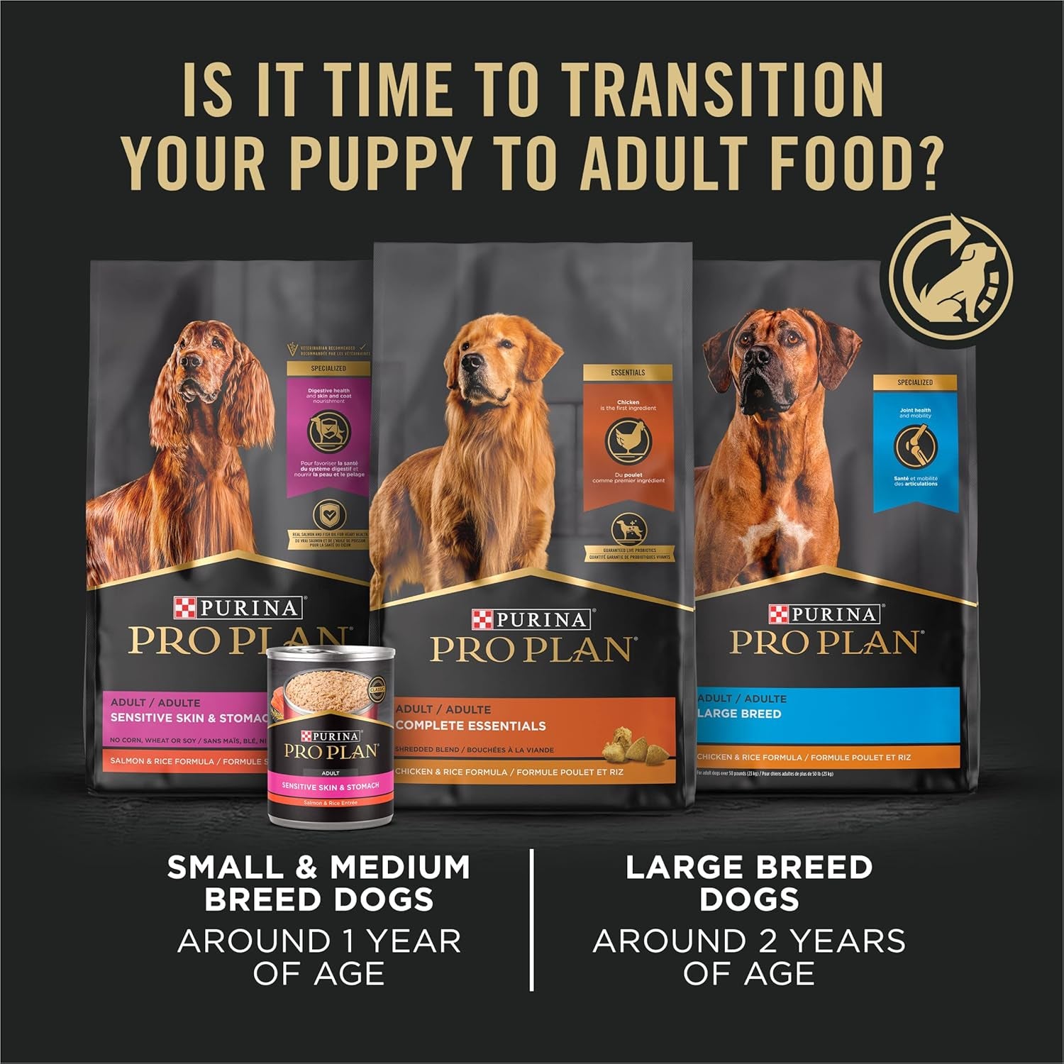 purina-pro-plan-high-protein-puppy-food-shredded-blend-chicken-rice-formula-6-lb-bag