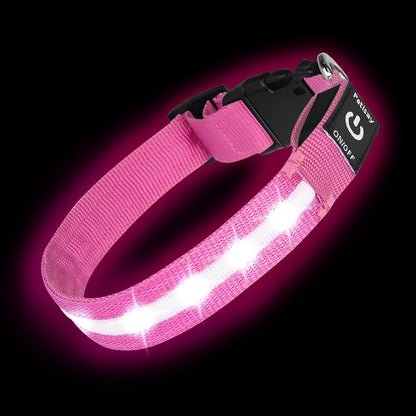 Super Bright LED Dog Collar, Waterproof Light up Collars(Green, Medium) | Lighted Dog Collar with Adjustable Fit, Soft Nylon Comfort, USB-C Rechargeable, Glow in the Dark Visibility for Night Walks20
