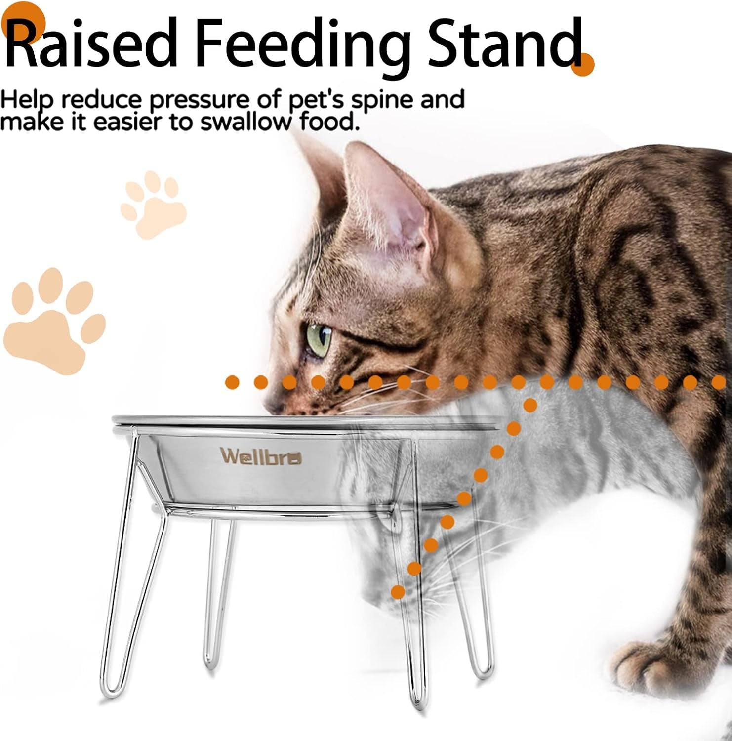 elevated-cat-bowls-wide-stainless-steel-cat-food-bowls-with-metal-stand-whisker-stress-free-raised-food-and-water-dish-for-cats-kitten-puppies-and-small-dogs