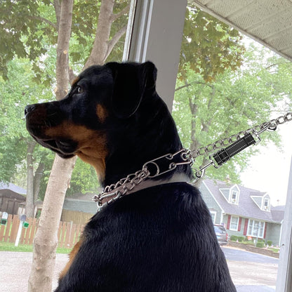 YUEPET Dog Safety Collar Clips 2 Pack Adjustable Prong Backup Clips Reflective Double Ended Backup Clasp Leash Connector for Dog Harness to Collar Safety Clip(Grey+Black) | Prong Collar Backup, Double-Ended Clips, Harness to Collar Connector, Reflective Strap, 7-8.2 in Adjustable Length, 2 Pack7