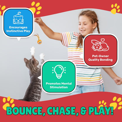 Bouncy Tails 5 Pack Interactive Bouncy Ball with Natural Feathers for Indoor Cats and Kittens Who Love to Play and Have Fun.4