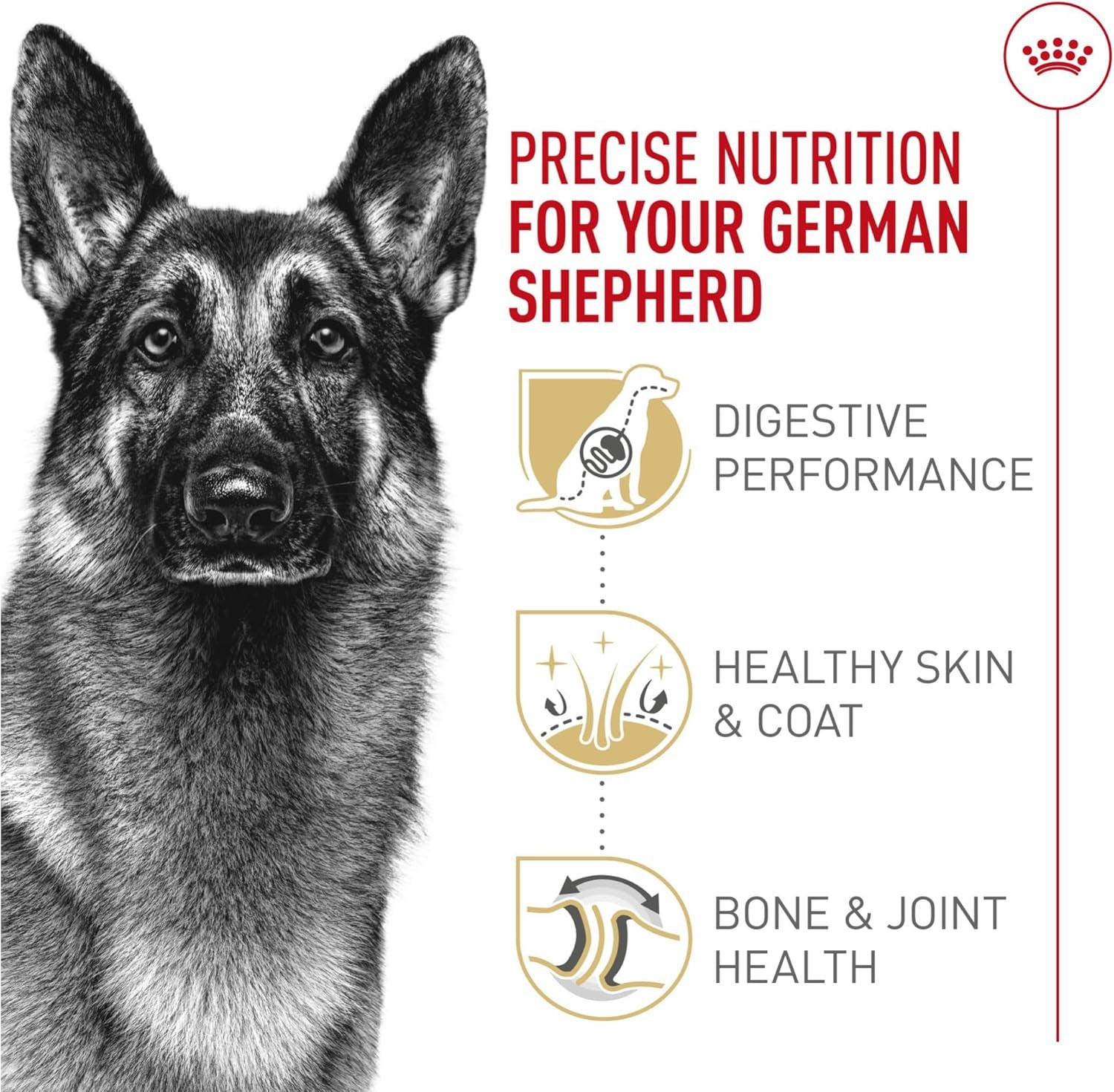 royal-canin-breed-health-nutrition-german-shepherd-adult-dry-dog-food-30-lb-bag