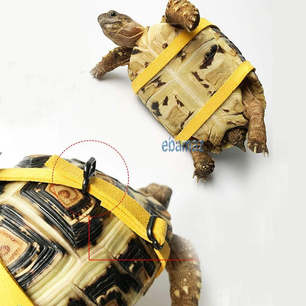 Leather Harness Strap for Tortoise/Turtle Reptile Animals Size M | Crawling Pet Walking Training Control Rope Chest Collar6