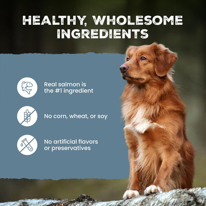 Blue Buffalo Wilderness Trail Treats Salmon Crunchy Dog Biscuits, Grain-Free & High-Protein, Bite-Sized Training Treats Made with Real Salmon & Natural Ingredients, 10-Oz Bag9