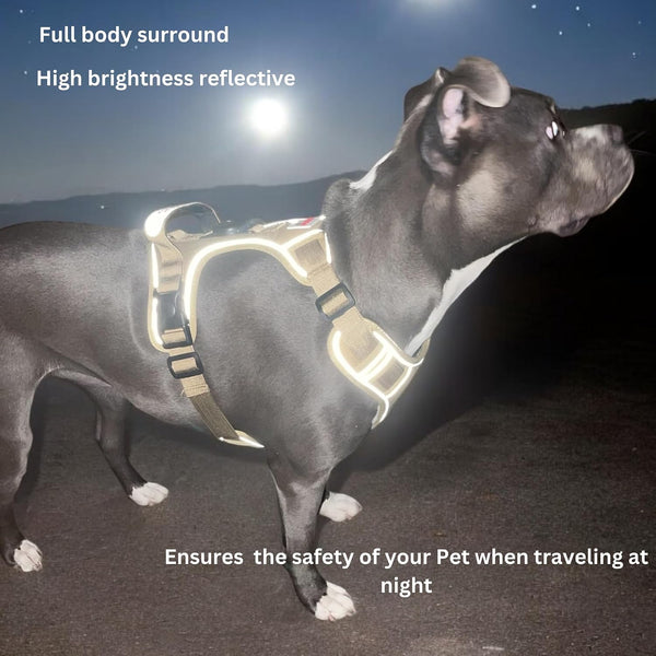 Boldpet® Dog Harness with Airtag Holder and Leash Set- No Pull Dog Harness Reflective Design -Escape Proof with Safety Buckles- Breathable Oxford for Small, Medium and Large Dogs -Air Tag Not Included7