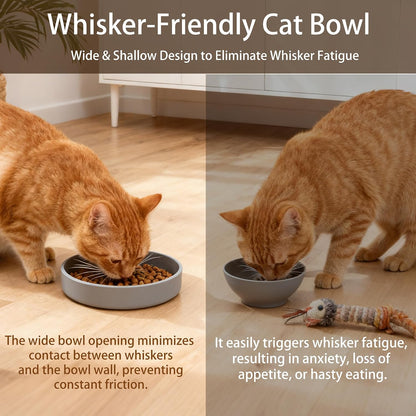 Silicone Cat Bowl Shallow Non-Slip Cat Dishes Set of 2 Relief Whisker Fatigue Small Pet Dog Bowls for Dry & Wet Food (Round Grey)4